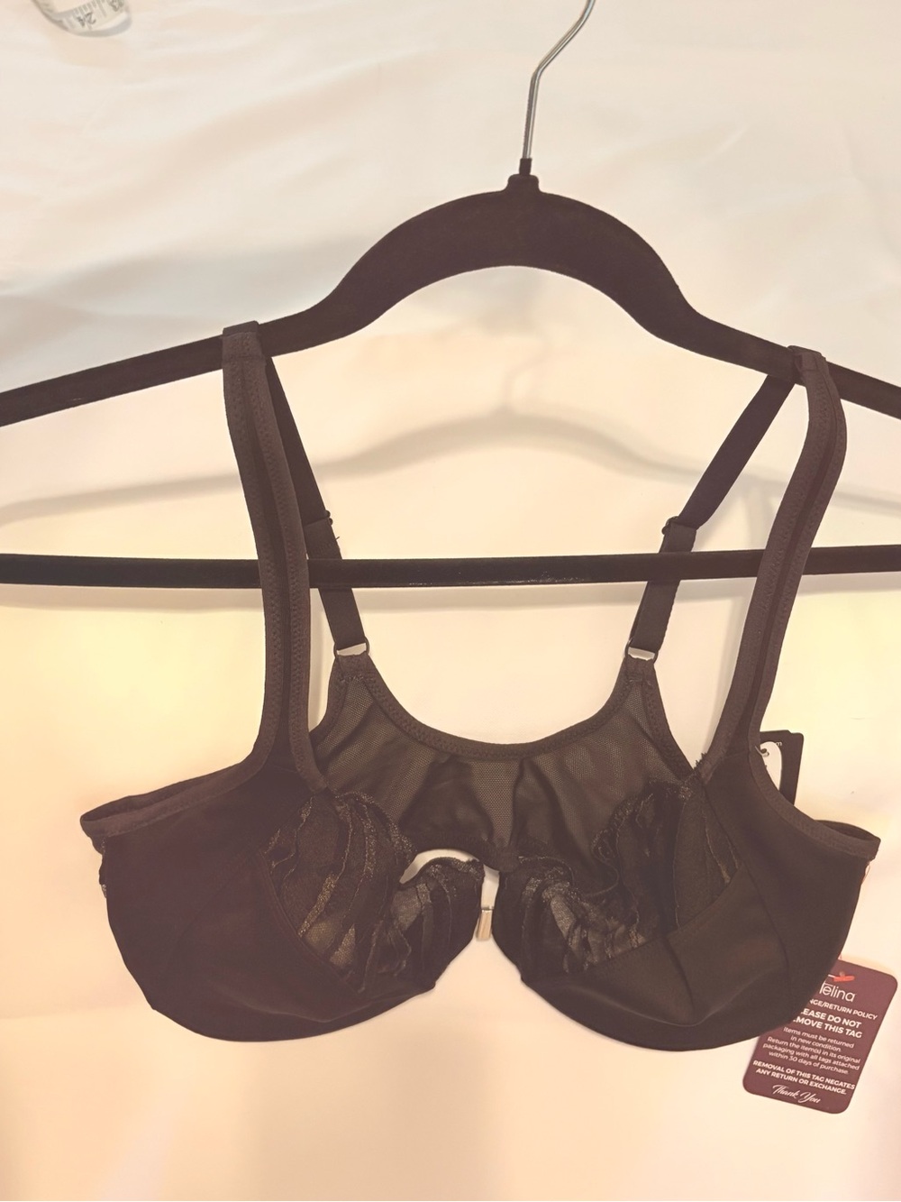 Sheer Lace Underwire Bra in Black